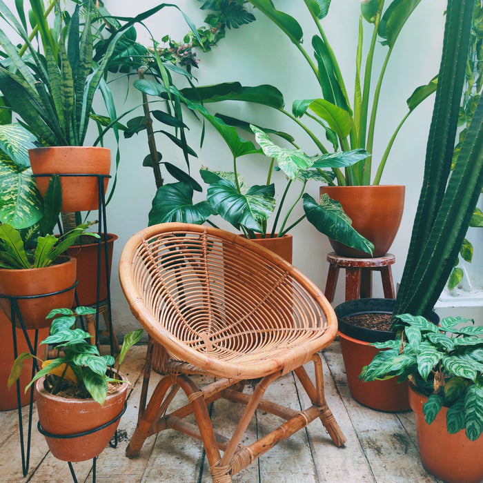 Make the most of your Space with these 7 Balcony Garden Tips