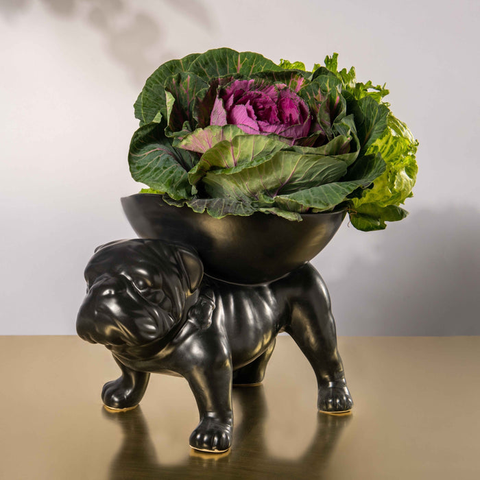 Brutus Bulldog Extra Large Fruit Bowl - KNUS