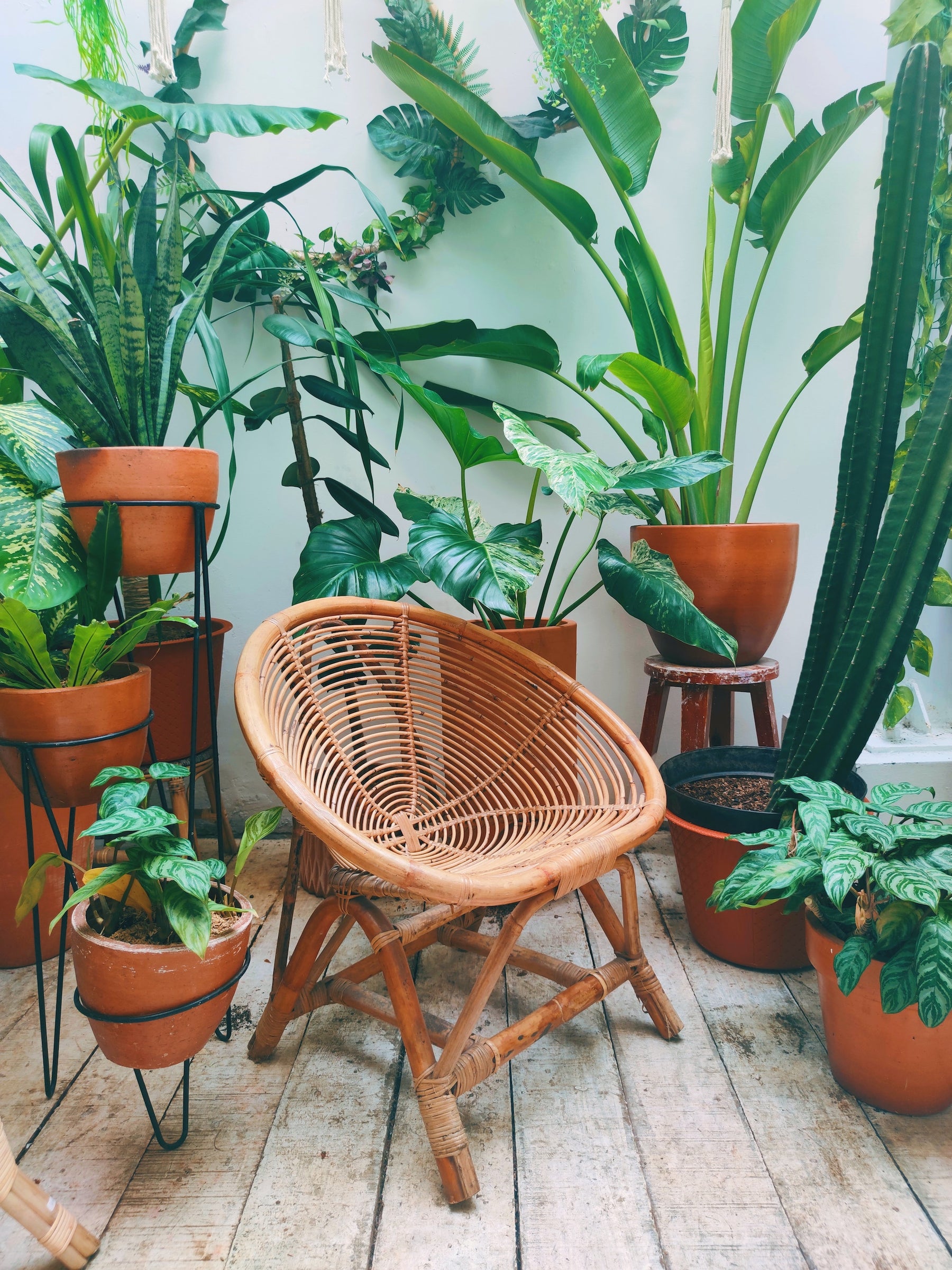 Make the most of your Space with these 7 Balcony Garden Tips