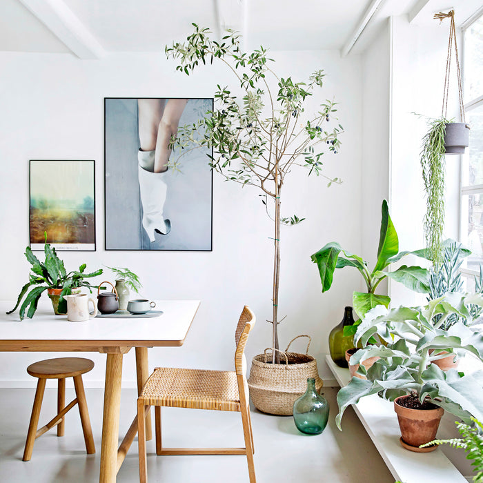 Dress up your home the Naturalist way