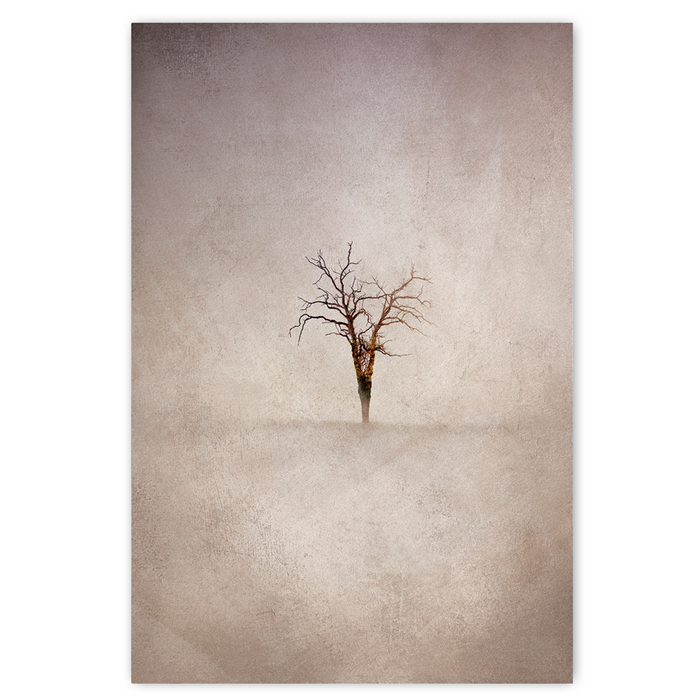 Lone Tree 4 Warm Art Print - KNUS