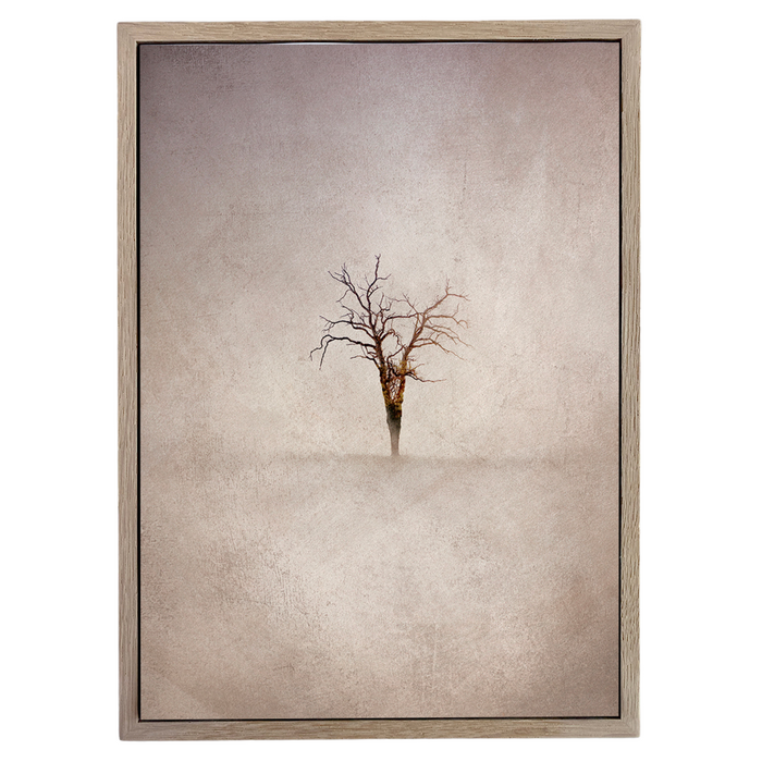 Lone Tree 4 Warm Art Print - KNUS
