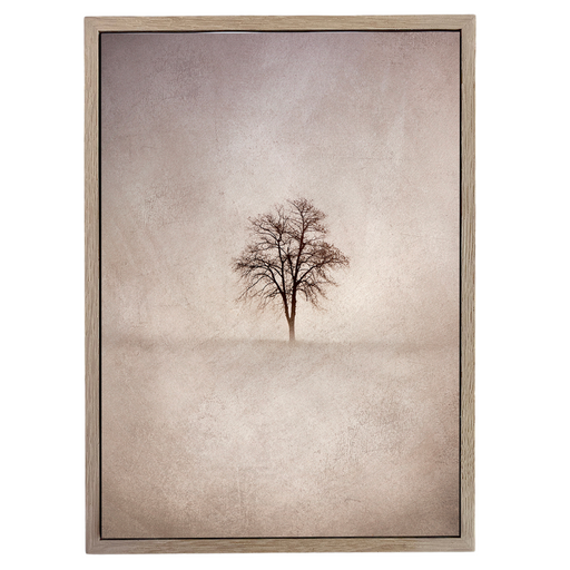 Lone Tree 1: Warm Art Print - KNUS