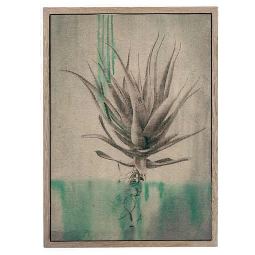 Sage Aloes 1 Art Print - KNUS