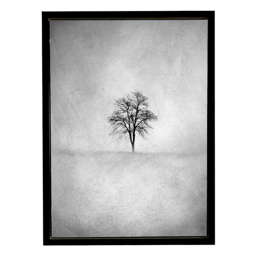 Lone Tree 1 B&W Art Print - KNUS