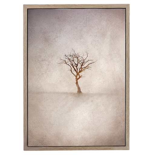 Lone Tree 3 Warm Art Print - KNUS