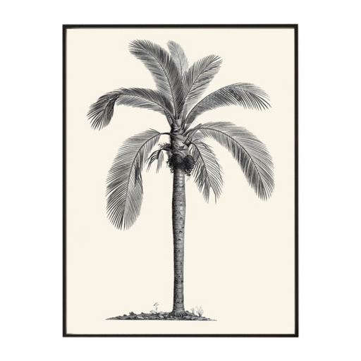 South American Palm Art Print - KNUS