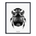 Dung Beetle Art Print - KNUS