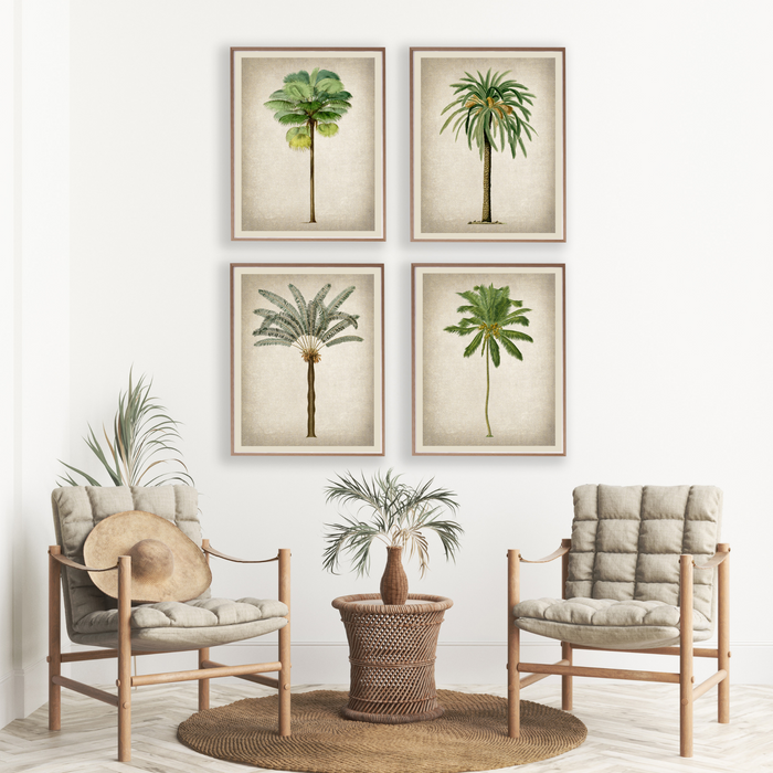 Sago Palm Art Print - KNUS