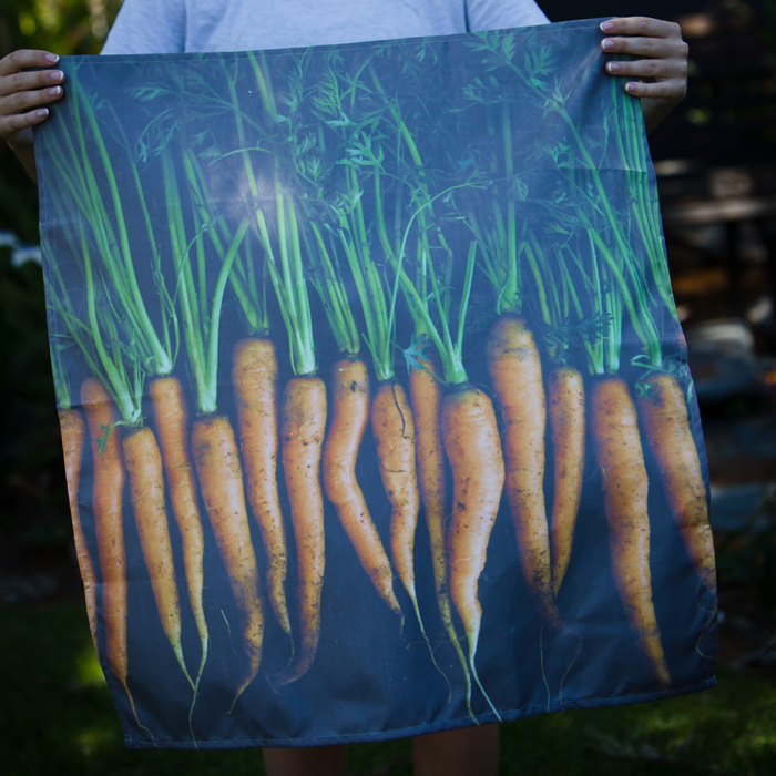 Carrots Food Cloth - KNUS