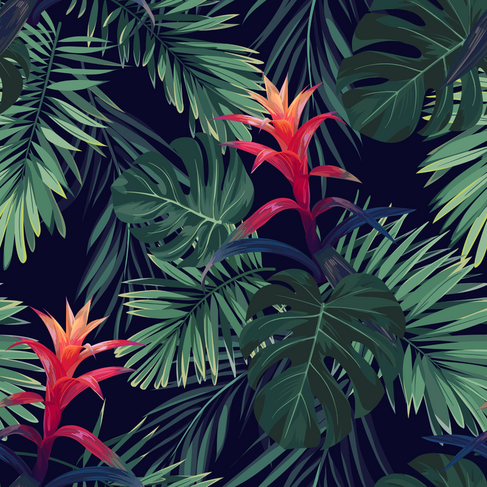 Shadow Jungle Flower Wallpaper - KNUS