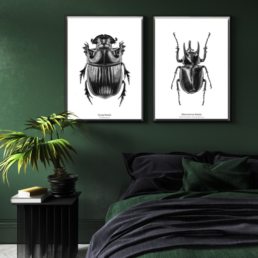 Dung Beetle Art Print - KNUS