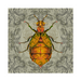Blister Beetle Art Print - KNUS