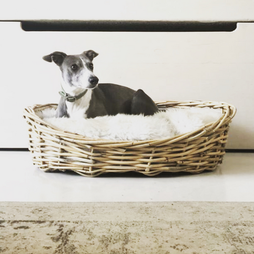 Dog Basket - KNUS