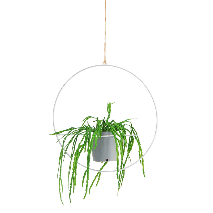 Pot in the Middle Hanging Planter - KNUS