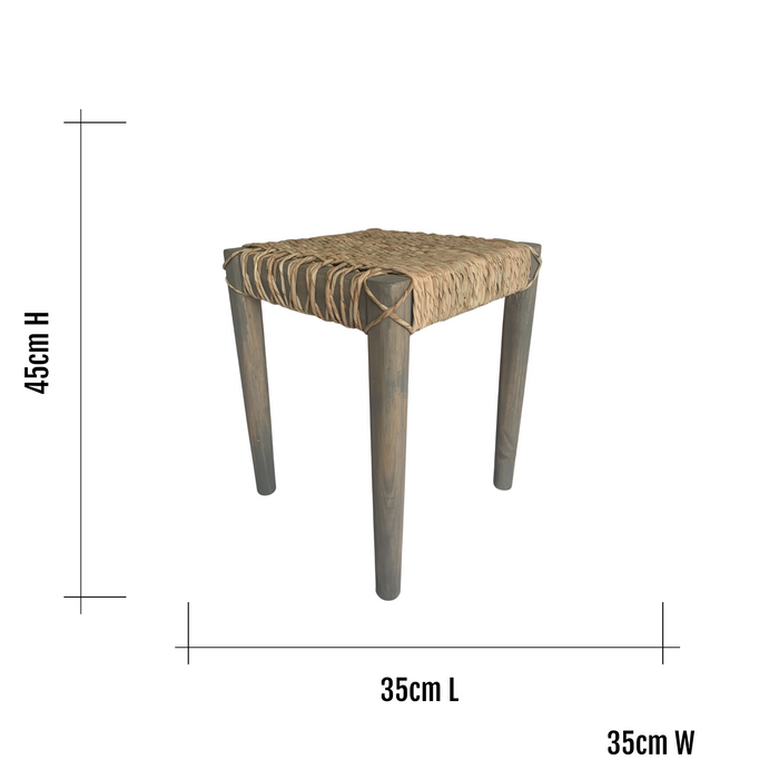 Insect Stool