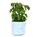 Blue Stripy planter Medium - KNUS