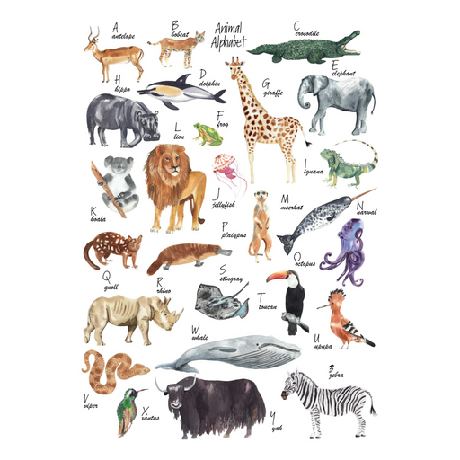 Animal Nursery 12 Art Print - KNUS