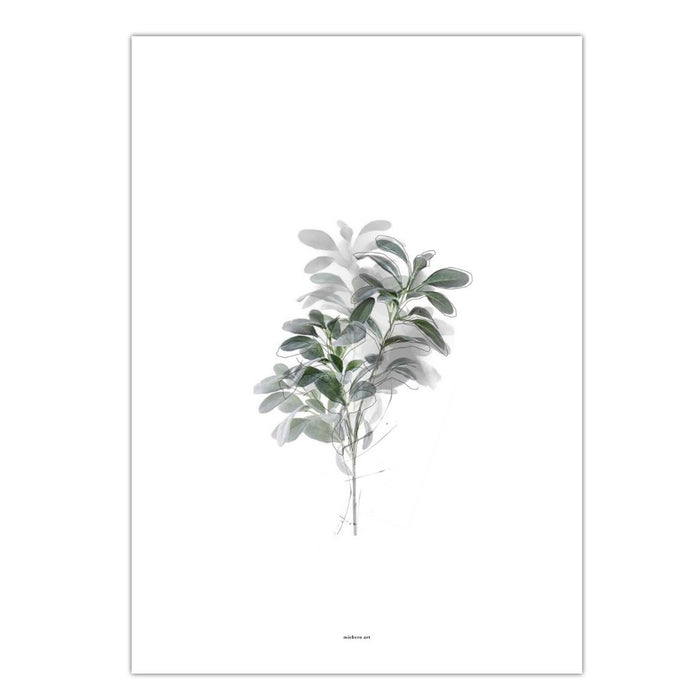 Plant with Colour Art Print - KNUS 