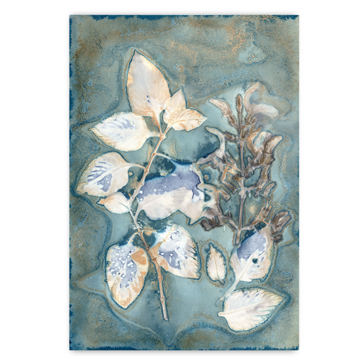 Botany Blue 10 Art Print - KNUS