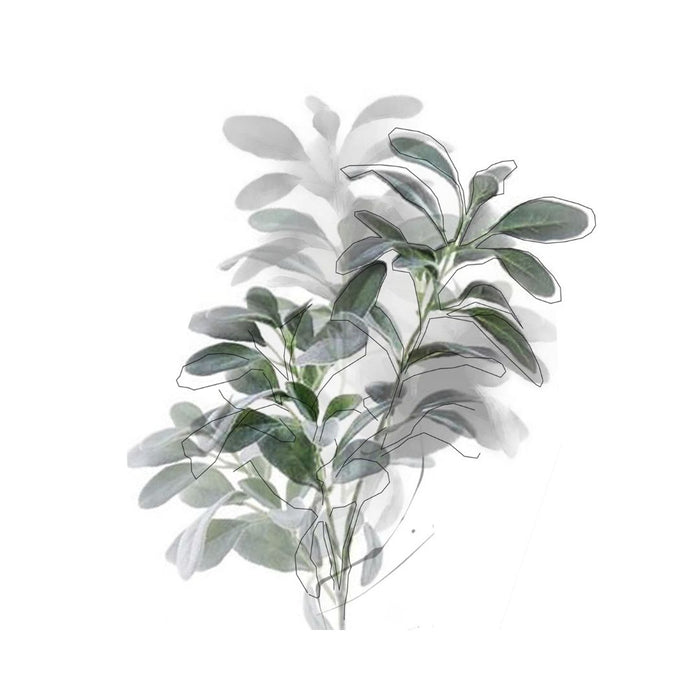Plant with Colour Art Print
