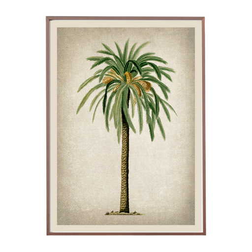 Date Palm Art Print - KNUS