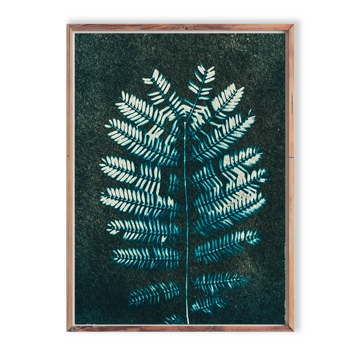 Thorn Tree Leaves II I Art Print - KNUS