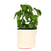Orange Stripy planter Medium - KNUS