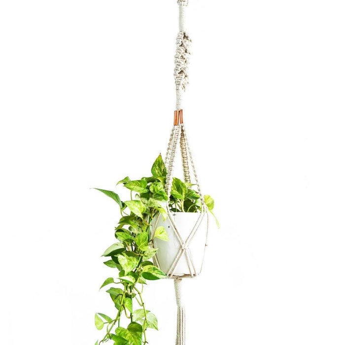 Copper Twisted Square Macrame Plant Hanger
