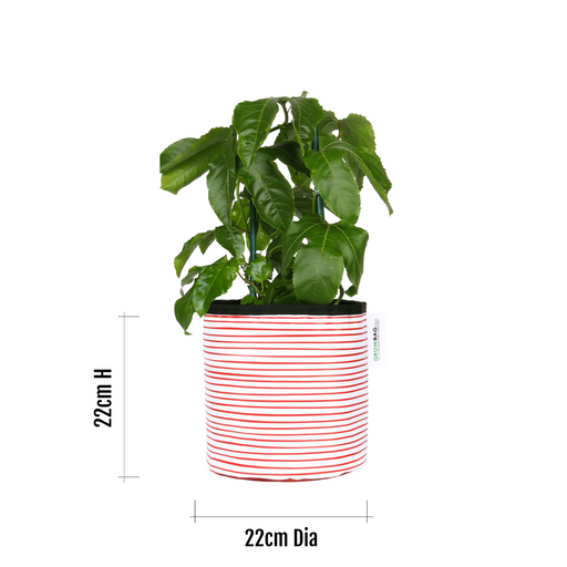 Red Stripy planter Medium - KNUS