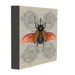 Arthropods Rhino Beetle Art Print - KNUS