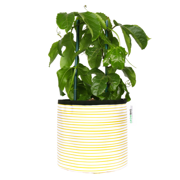 Yellow Stripy planter Medium - KNUS