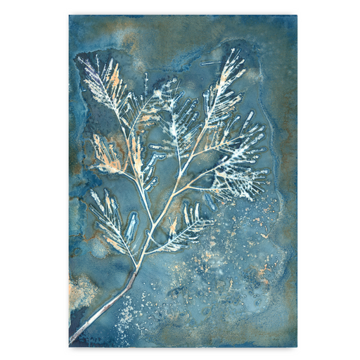 Botany Blue 14 Art Print - KNUS