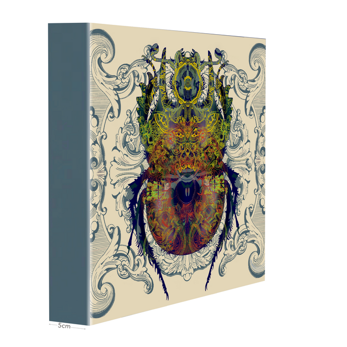 Glaresis Beetle Art Print - KNUS