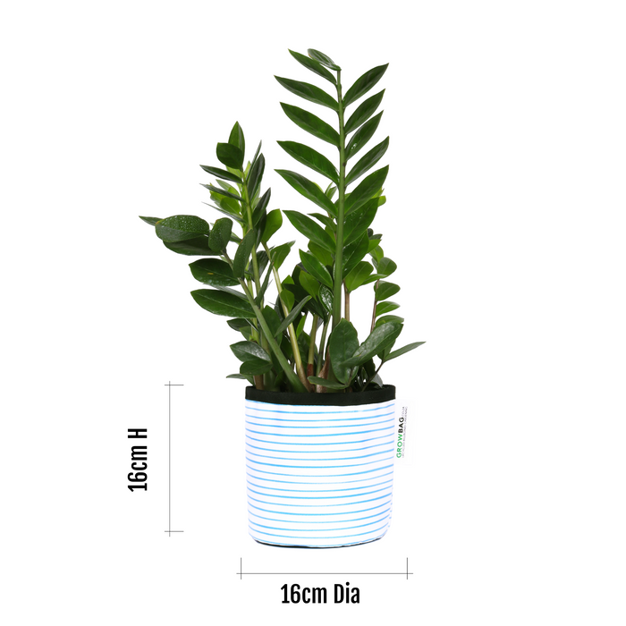 Blue Stripy planter Small - KNUS
