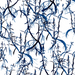 Botany Delft Blue Fabric (Per Meter) - KNUS