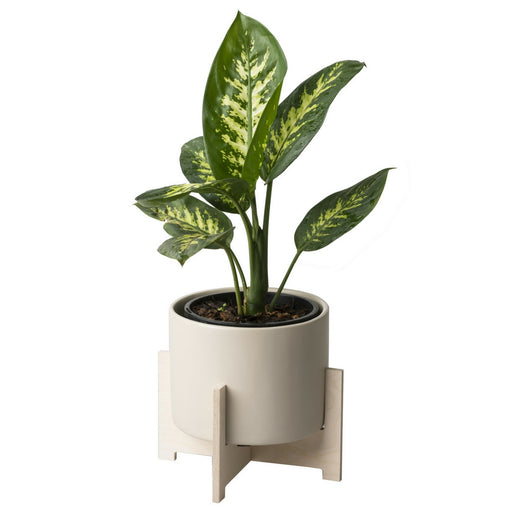 Cango Pot Plant Holder - KNUS