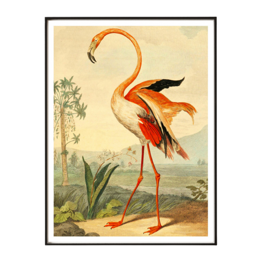Flamingo Art Print - KNUS