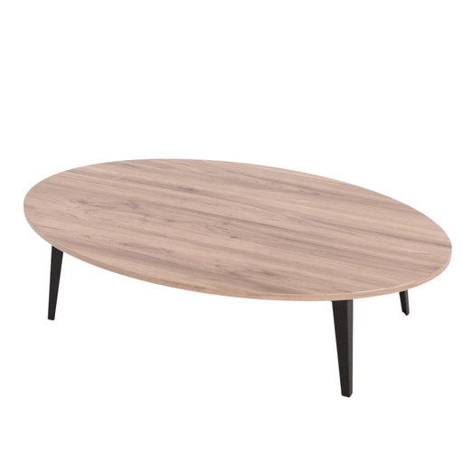 Holly Oval Coffee Table  - KNUS