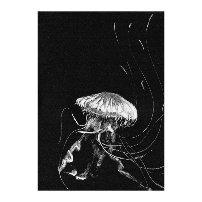 Jellyfish 2 Art Print - KNUS