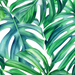 Monstera Leaves PVC Placemats - 1