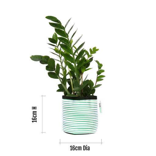 Green Stripy planter Small - KNUS