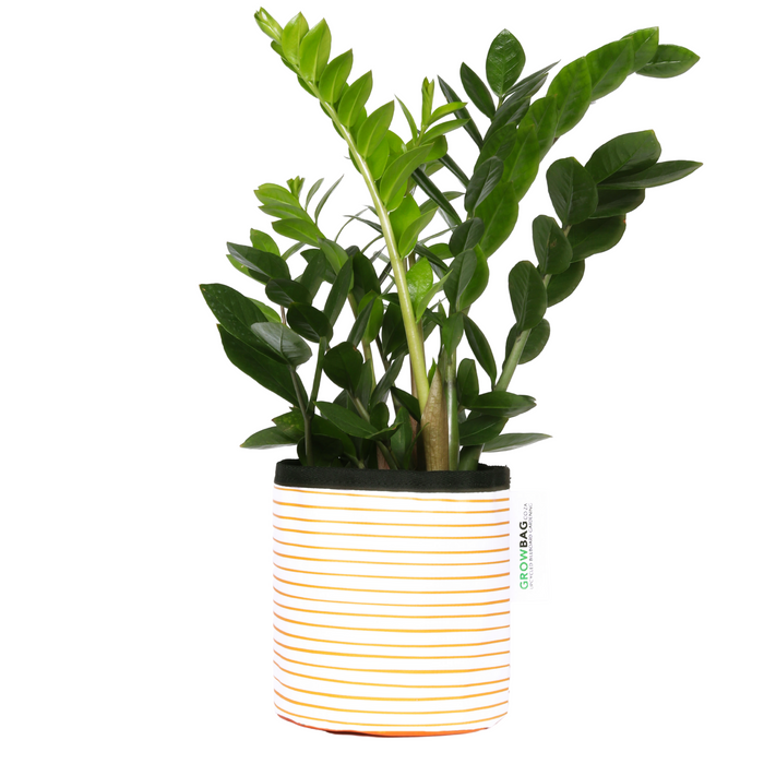 Orange Stripy planter Small - KNUS