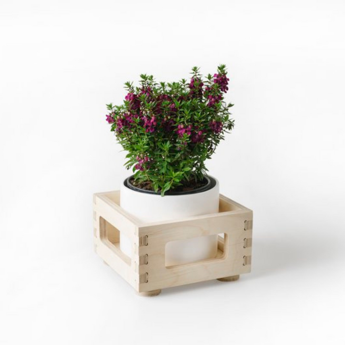 Single Birch Ply Planter Box - KNUS