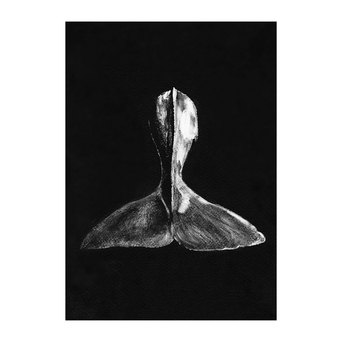 Whale Art Print - KNUS