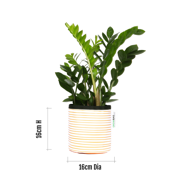 Orange Stripy planter Small - KNUS