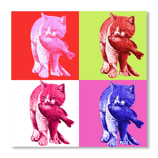 4 Cats Bright Art Print - KNUS