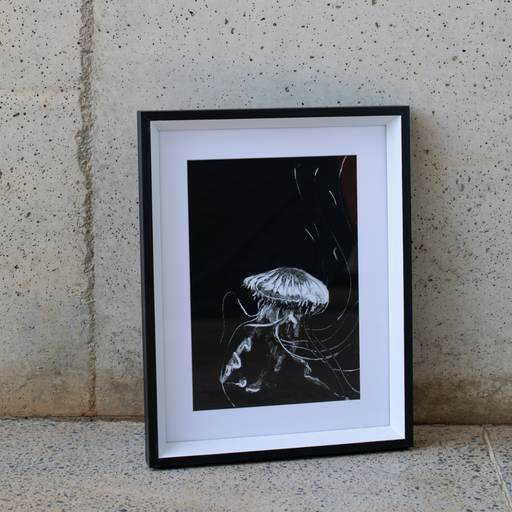 Jellyfish 2 Art Print - KNUS
