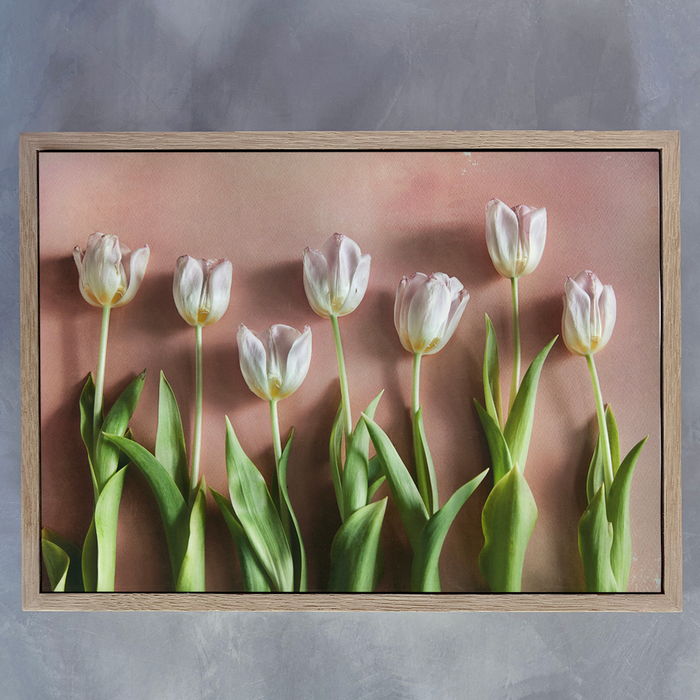 Watercolour Wash Tulips 6 - KNUS