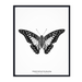Butterfly Vertical Art Print - KNUS